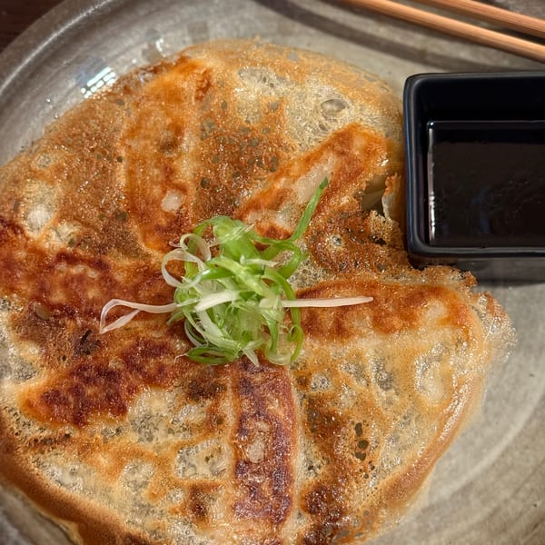 Crispy fried gyoza topped with green onions, served with a side of dark dipping sauce.